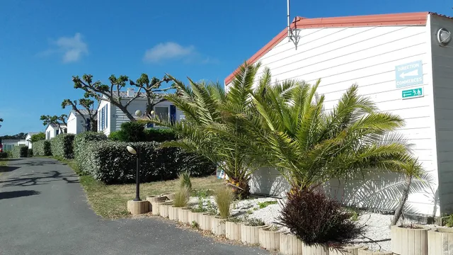 Camping Ile d'Oléron | Sables Vignier Plage | Saint Georges Oléron