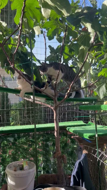 B&B La fontana di Carlotta