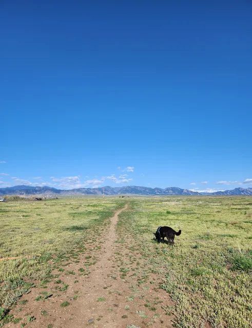 OPEN Space Offleash Dog Area.