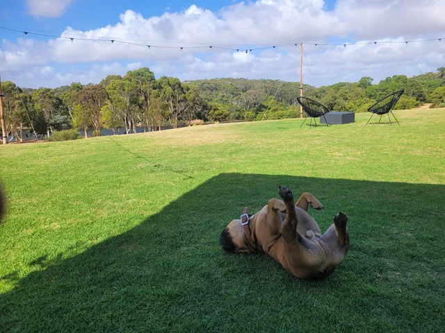 Mr Barval Fine Wines