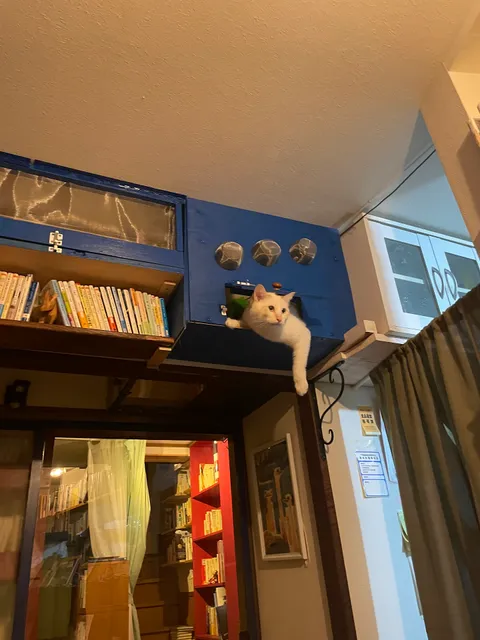 Chiisana Book Cafe Slow Down