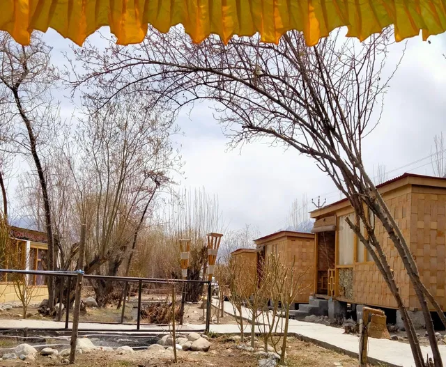 The wooden nest hunder