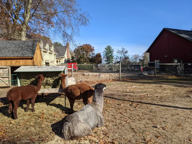 Unity Farm Sanctuary