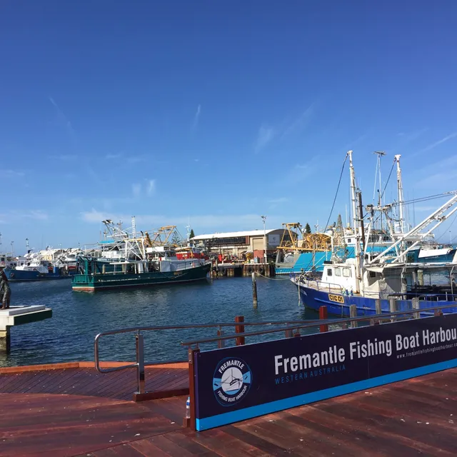 Fishing Boat Harbour