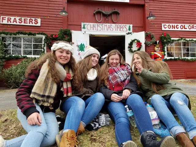 Mistletoe Christmas Tree Farm