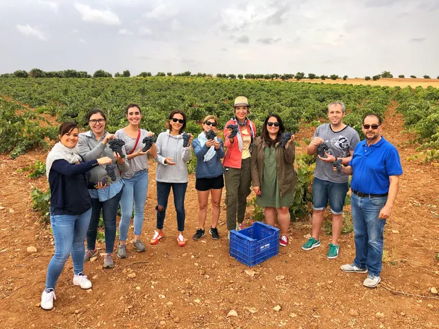 Colorful Wines - Wine Tours Madrid