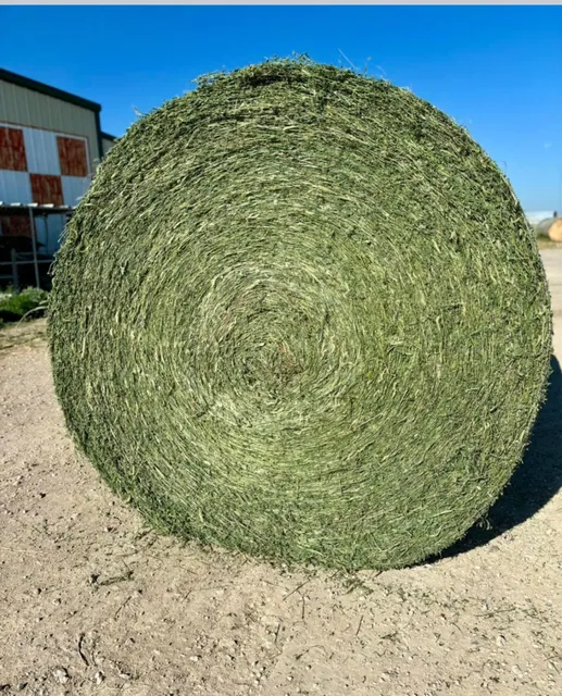 Robinson's Family Feed