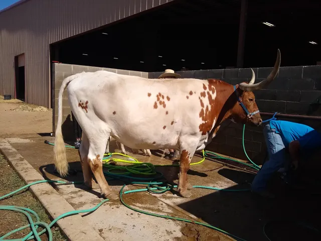 John L. Kuykendall Arena & Events Center