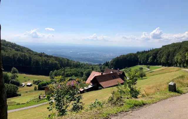 Ferienwohnungen Rheintalblick
