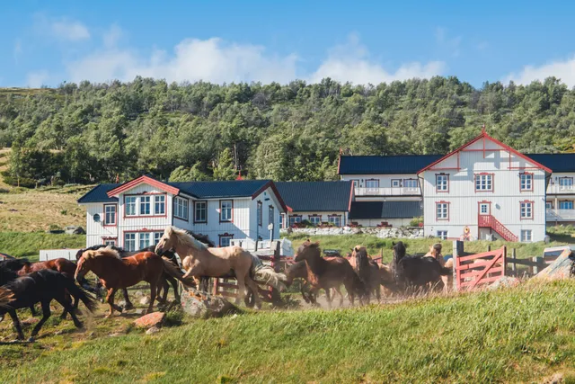 Hjerkinn Lodge & Fjellridning AS