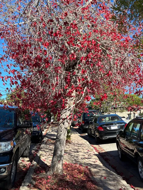 Carmel public Parking Lot