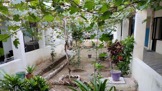 Evangeline Working Women's hostel & PG