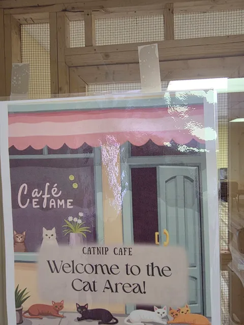 Cat Nap Cafe