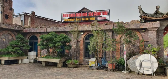 Born To Be Wild - Homestay Meo Vac