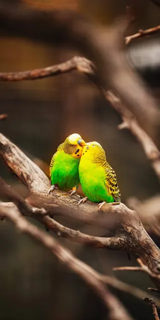 Akshay Bar And Restaurant