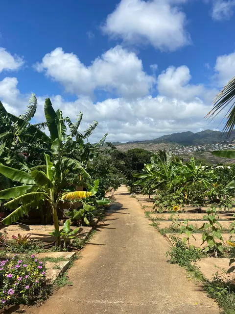 Sun Farm Hawaii
