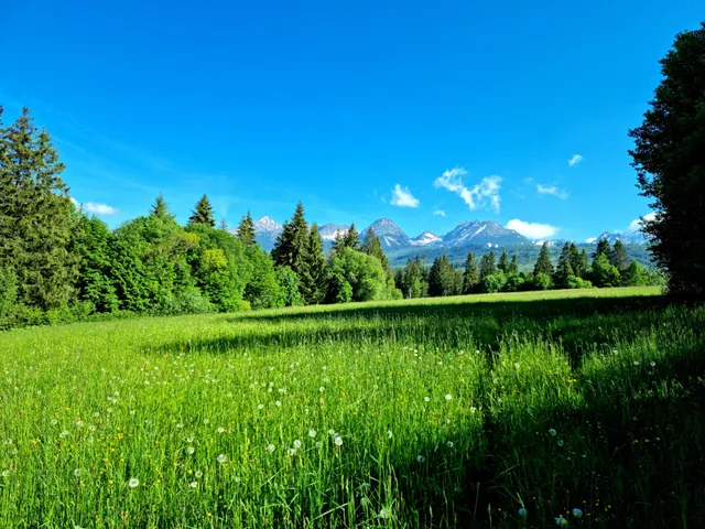 Apartmán Monte Amnis