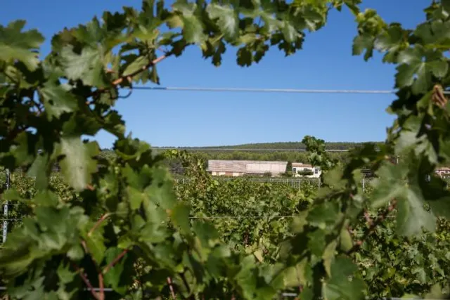 Domaine de Belambree