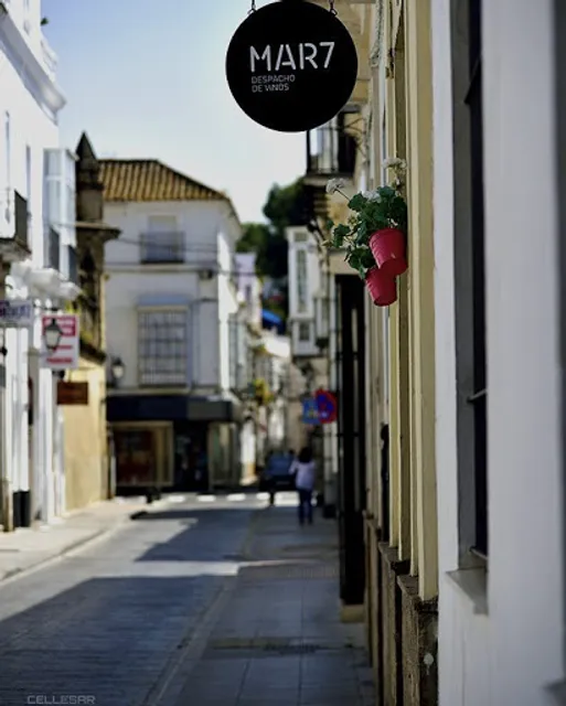 Despacho de Vinos Mar 7