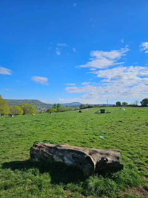 SoftPaws Adventure Park