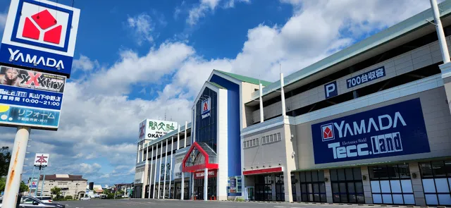 Yamada Denki Tecc Land