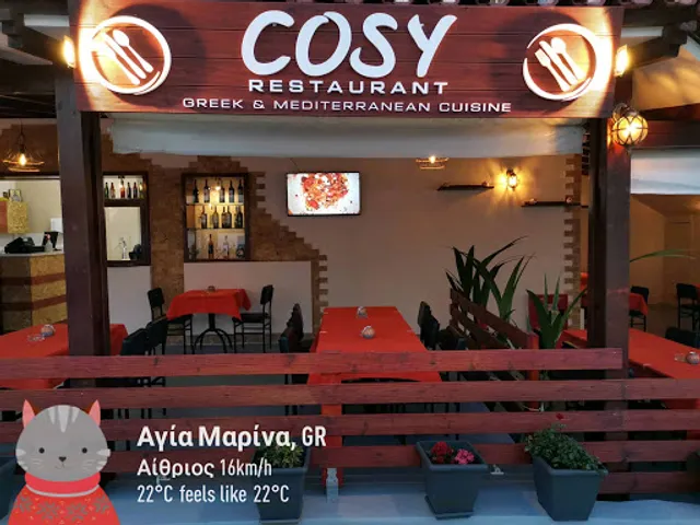 Cosy Restaurant