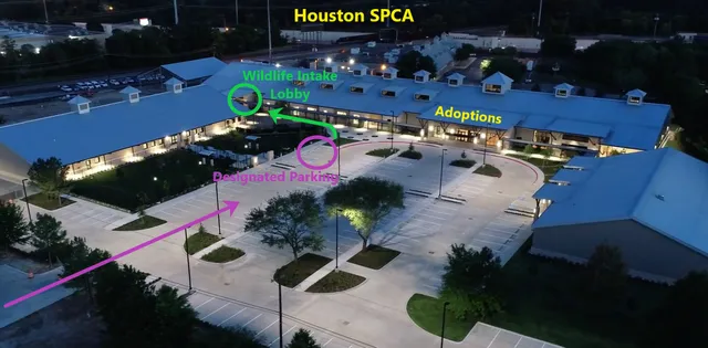 Houston SPCA's Wildlife Center