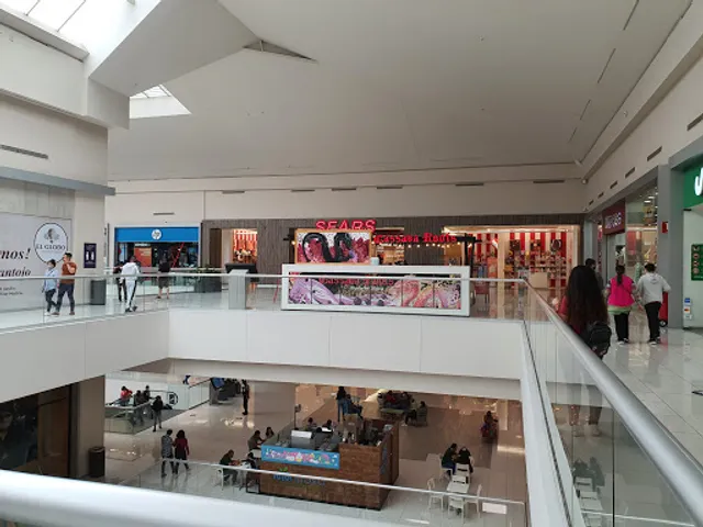 Cassava Roots Tlanepantla