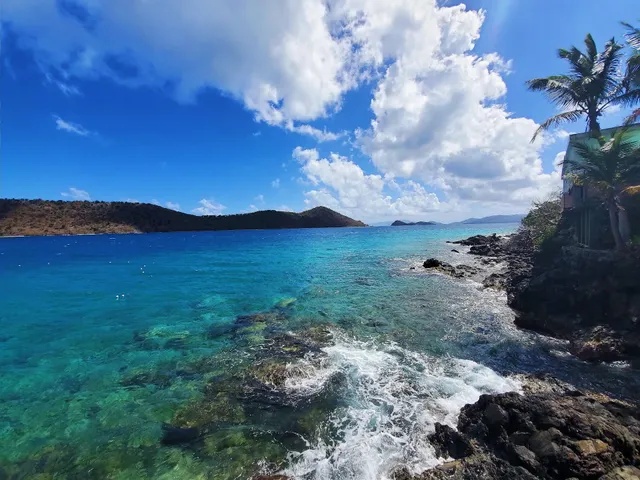 Coral World Observatory Tower