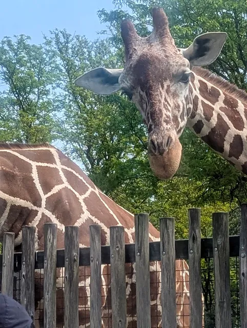 Brookfield Zoo Chicago