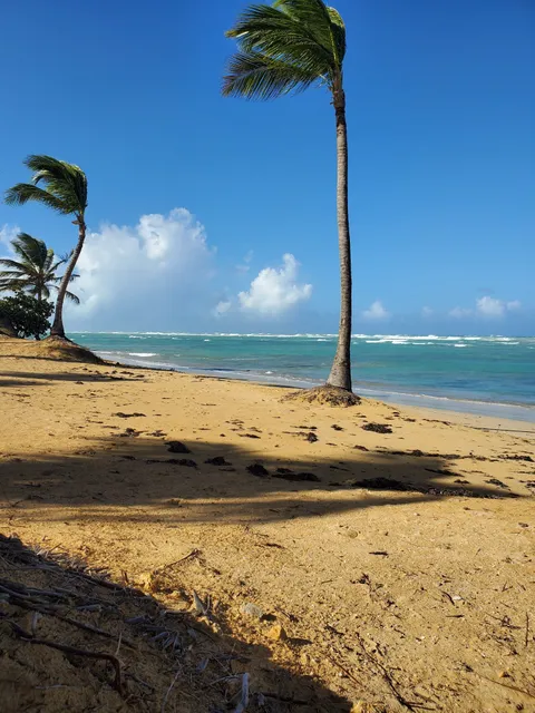 Miilé SPA at Excellence El Carmen