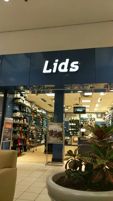Lids