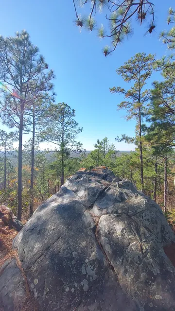 John B. Scott Forever Wild Trail - Trailhead