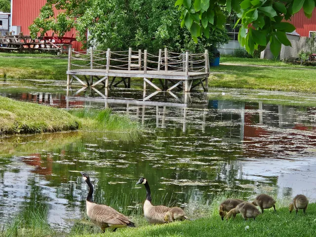 Paradise Park Campground