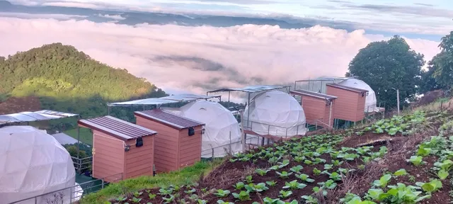 ฮิมดอยแคมป์ปิ้ง