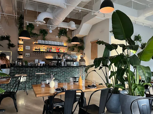 Isla & Co. West Palm Beach