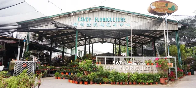 Candy Floriculture Pte Ltd
