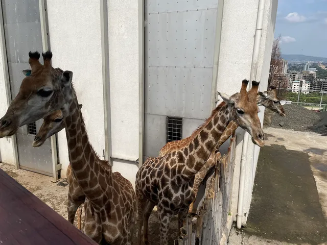 Unity Park Zoo
