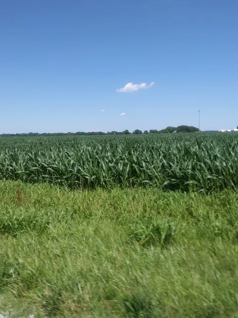 Smith Farm Produce & Trailers