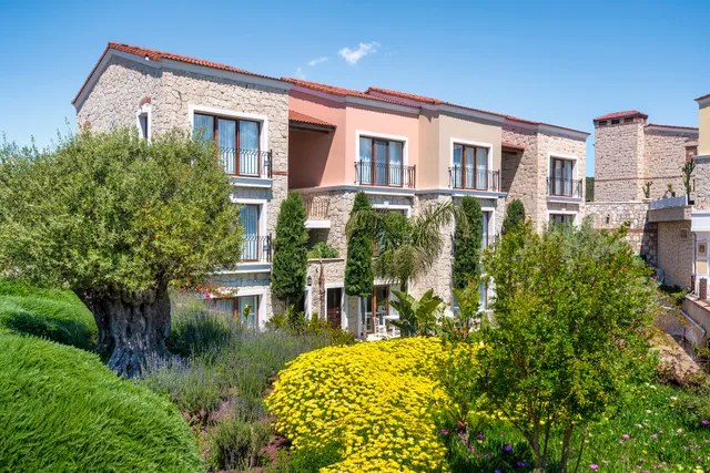 Cocos The Club Solto