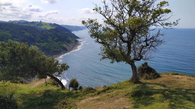 Flysch ibilbidearen hasiera منضر حلو علي البحر