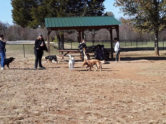 Murfreesboro Bark Park