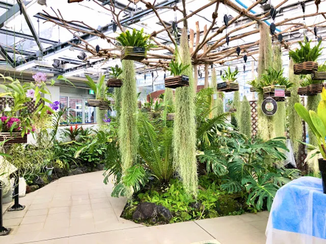 Greenhouse Jindai Botanical Garden
