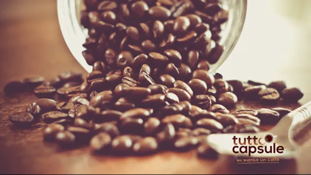 Tuttocapsule Savigliano