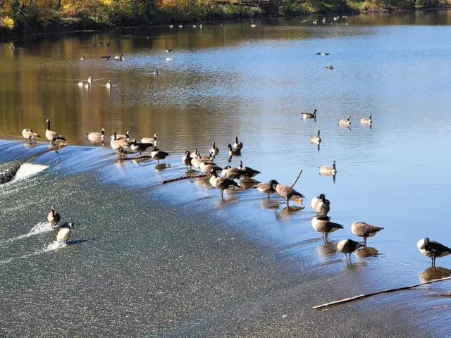 Tyler Park - South Entrance