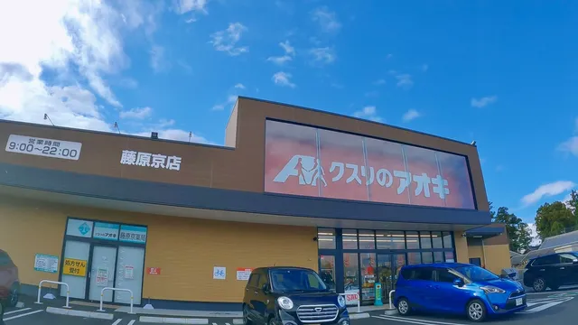 Kusuri No Aoki Fujiwarakyo Shop