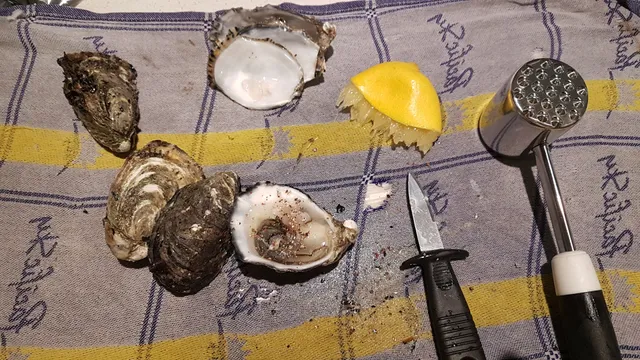 Sams Oysters