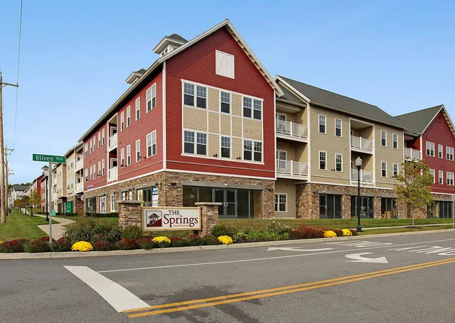 The Springs Luxury Apartments