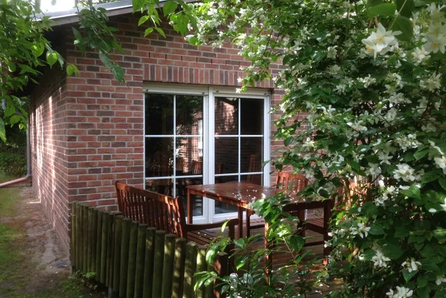 Cottages in the forest