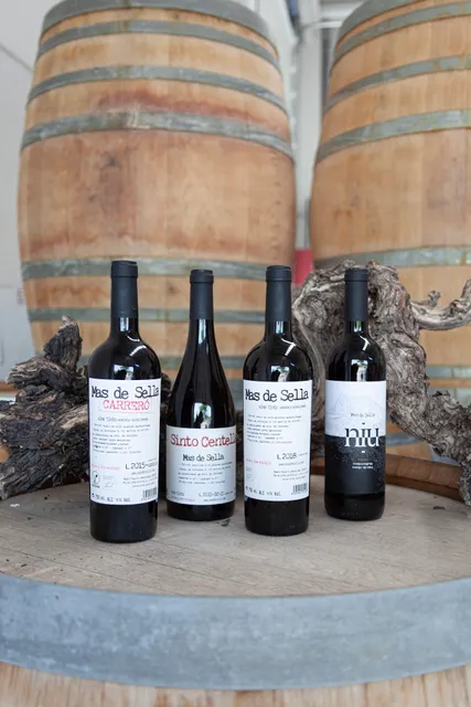 Bodega Mas de Sella